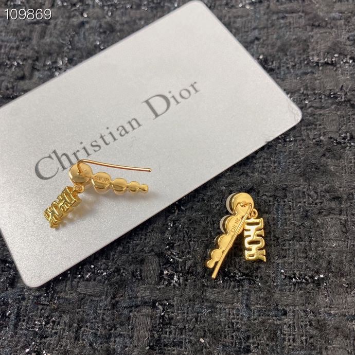 Christian Dior Earrings